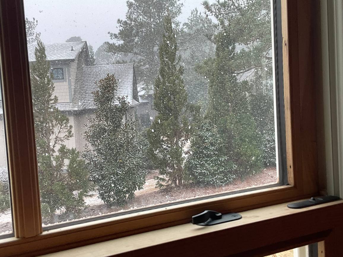 Snow falling past a wooden window frame onto pine trees.