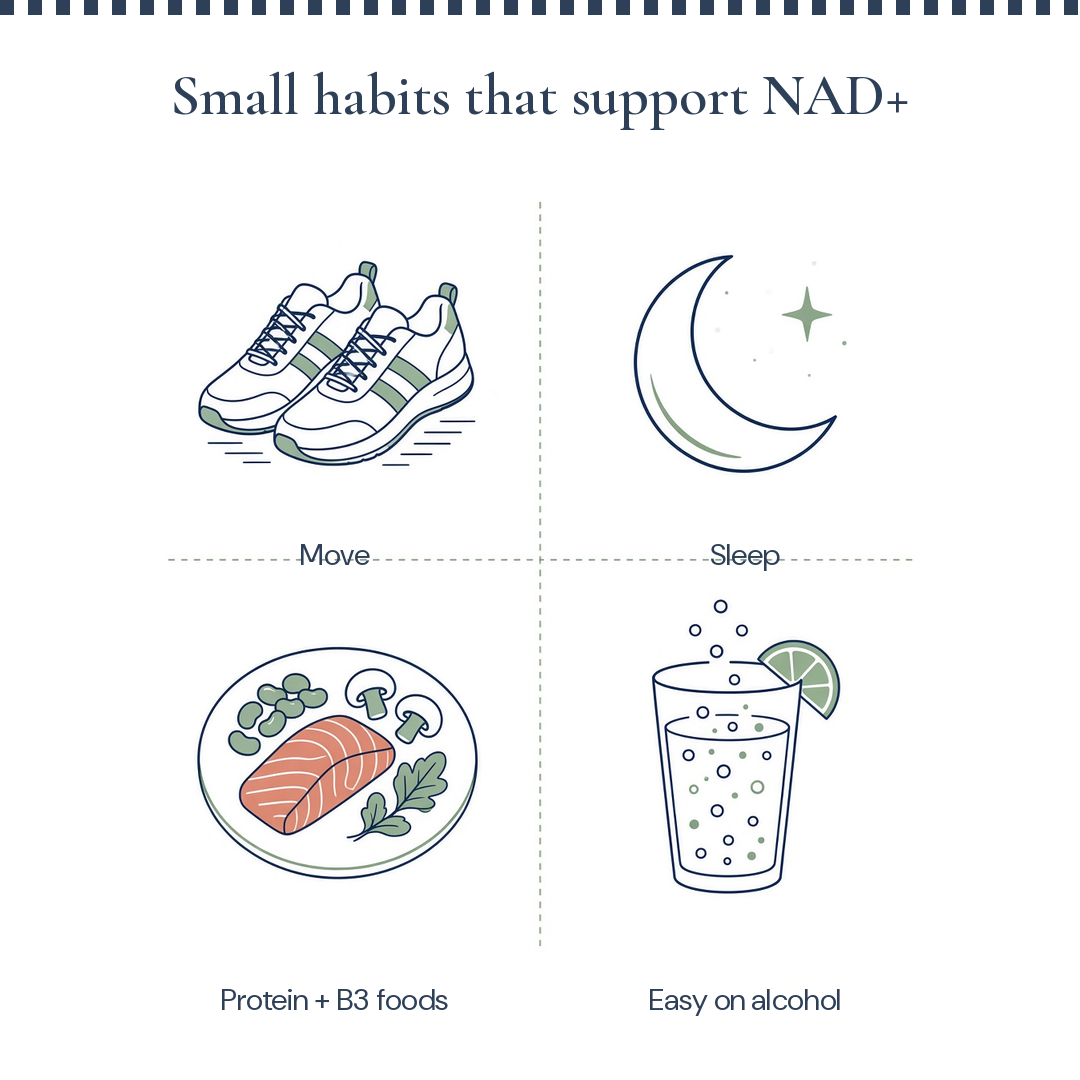 Four icons for moving, sleep, protein and B3 foods, and going easy on alcohol.