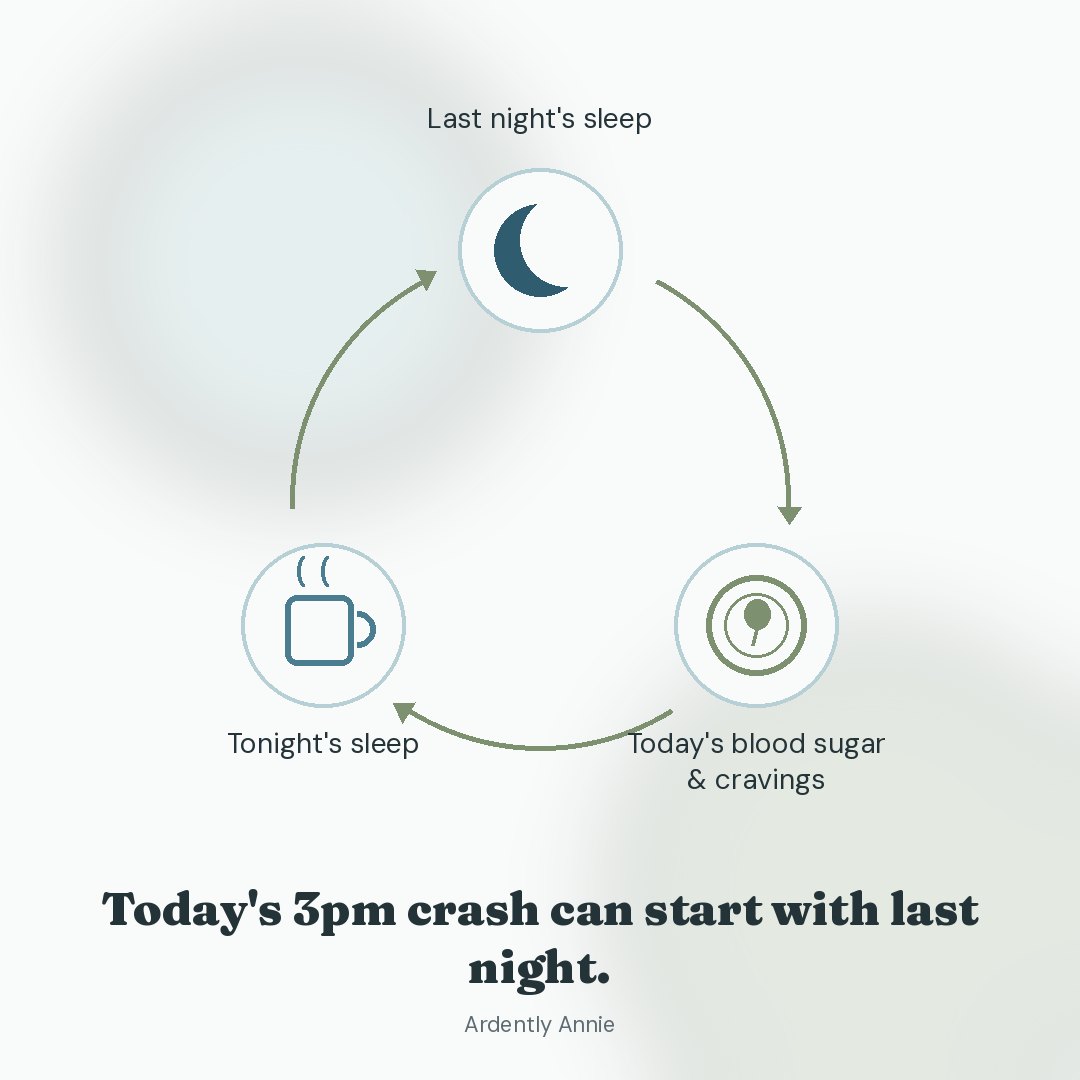 Circular diagram connecting sleep, daytime blood sugar and cravings, and the next night's sleep.