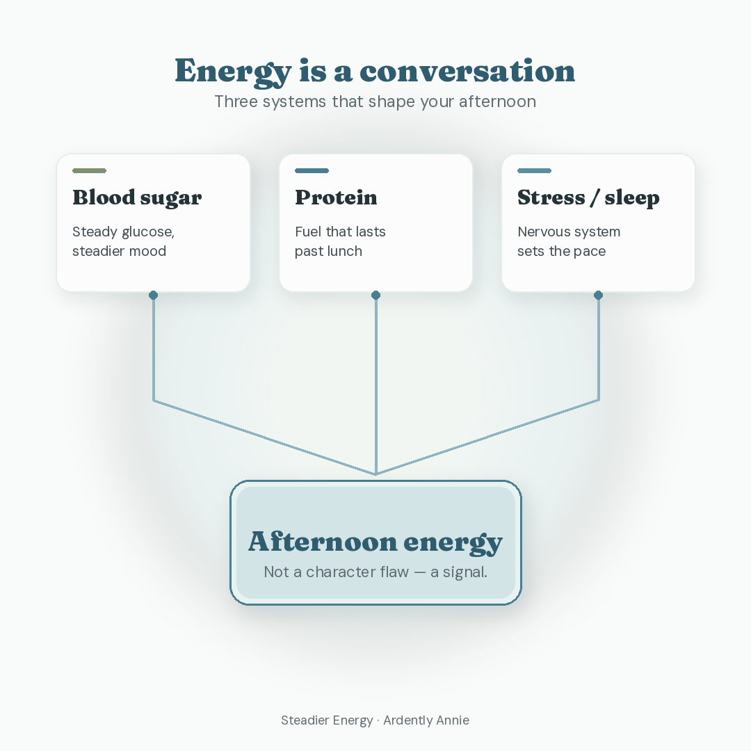 Diagram linking blood sugar, protein, and sleep to afternoon energy.
